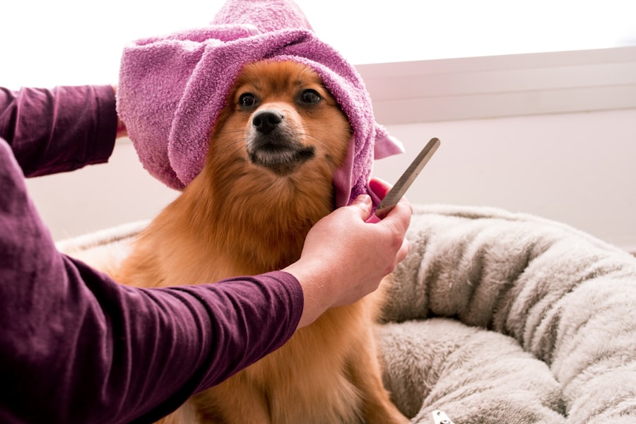 Persona dando un masaje relajante a su perro durante una sesión de cepillado